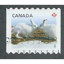 CAN 2011 (P) (S/A) 'BABY WILDLIFE' FINE USED (EBID44-287)