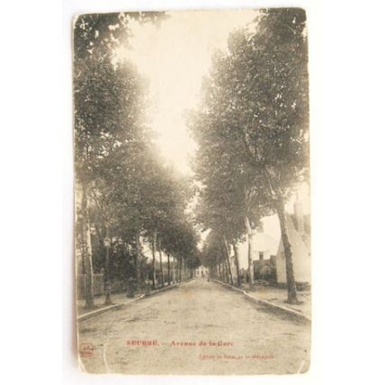 1906 postcard Seurre, Avenue de la Gare
