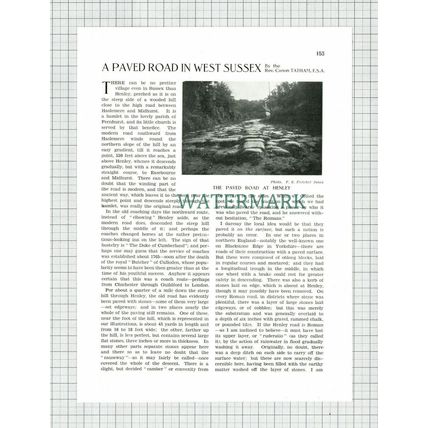 (8665) Henley Sussex - 1930 Article