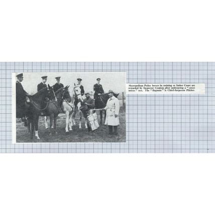 (5061) Imber Court Police Horses Inspector Coulton & Pilcher - 1968 Clip