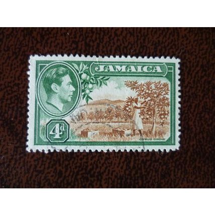 Jamaica 1938 King George VI definitive 4d Citrus Grove used stamp SG127 KGVI