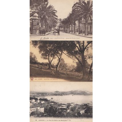 Ajaccio Avenue De Premier Consul Le Fond Du Golfe Antique Postcard