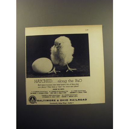 1957 Baltimore & Ohio Railroad Ad - Hatched.. along the B&O