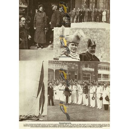 Australian Cricketers, 'Endeavour', Americas Cup, 1934, Book Illustration, 1936