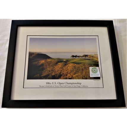 108th U S OPEN CHAMPIONSHIP FRAMED GOLF COURSE PHOTO 3rd HOLE TORREY PINES SD CA