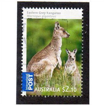 AUS 2009 $2.10 'EASTERN GREY KANGAROO' FINE USED (EBID15-111)
