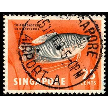 Singapore 1962 Fish 25c Used Stamp
