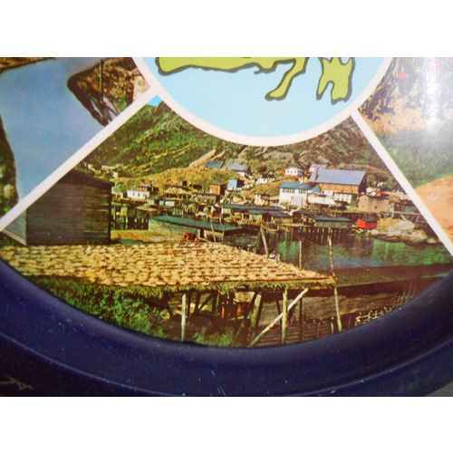 Newfoundland Vintage Souvenir Tray,the William Carson,Dog,Petty Harbour