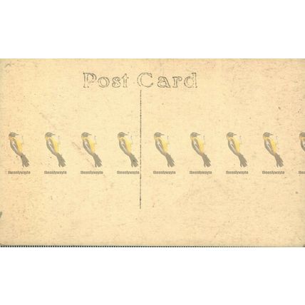 Beachy Head Lighthouse by Moonlight, Sussex, South Downs Series? 38 Postcard