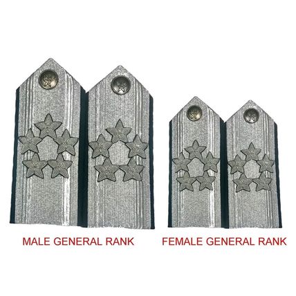 US AIR FORCE 5 STARS GENERAL MALE / FEMAIL MESS DRESS SHOULDER BOARDS NON ISSUED