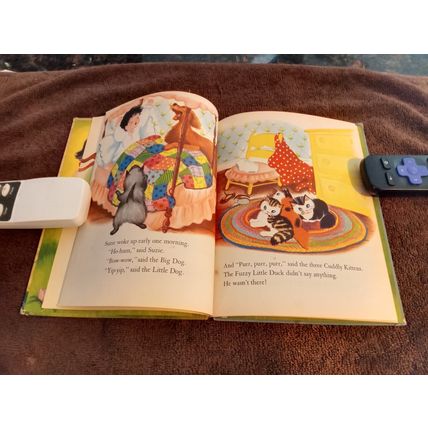 Wonder Book The Hide And Seek Duck By Irma Wilde 1952 Very Good Shape