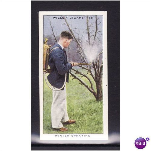 WILLS - 1938 GARDEN HINTS No 40 Winter Spraying Mint