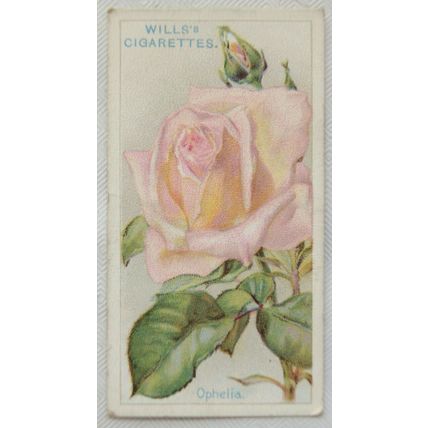 1926 Wills Roses No. 45 Ophelia