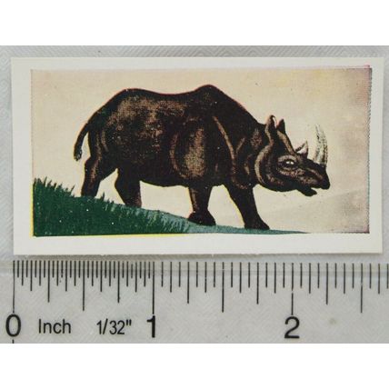 Neilson's Interesting Animals card No. 20 Black Rhinoceros