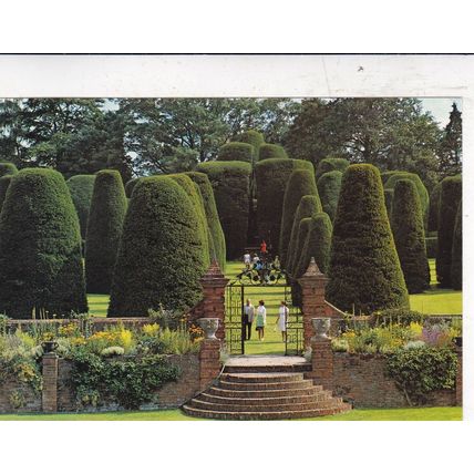 Packwood House Carolean Topiary Garden Warwickshire Postcard unused VGC
