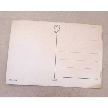 NETHERLANDS - GROETEN UIT HAARLEM - POSTCARD ~