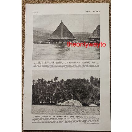 Village, Kaiserin-Augusta River, Papua (Men's House, Reverse), Book Illustration