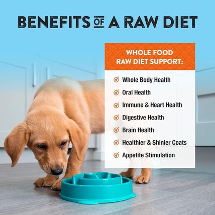 Northwest Naturals Freeze-Dried Chicken & Salmon Dog Food - Bite-Sized Nuggets -