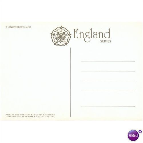 GB Postcard - A New Forest glade - Hampshire