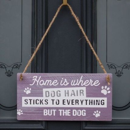 Hanging Metal Sign Pet Fun 'Dog Hair Sticks to Everything' Rope Handle Home