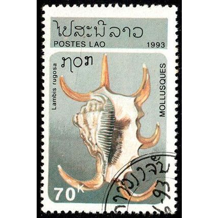 Laos 1993 Molluscs 70k Used Stamp Sea shells