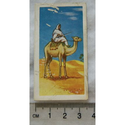 1957 Ewbanks Transport Through the Ages 12 The Camel