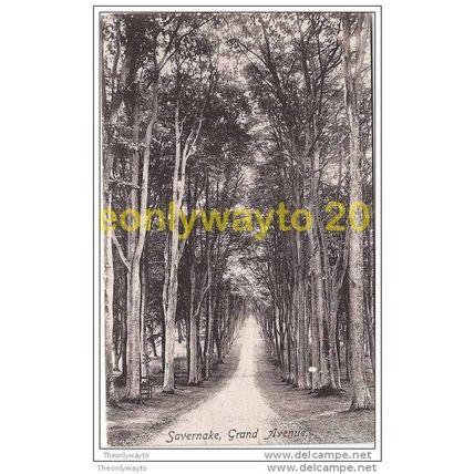SAVERNAKE, GRAND AVENUE, WILTSHIRE, ENGLAND,1900/10s?, Postcard