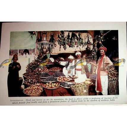 Fruits in Afghan Market, Afghanistan, Book Illustration c1920