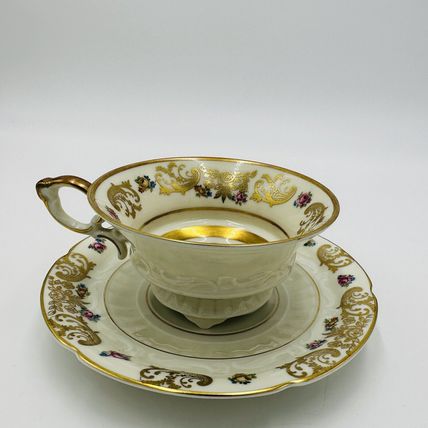 Hertel-Jacob Rehau Teacup Saucer Bavaria Porcelain 9624 Floral Gold Trim German