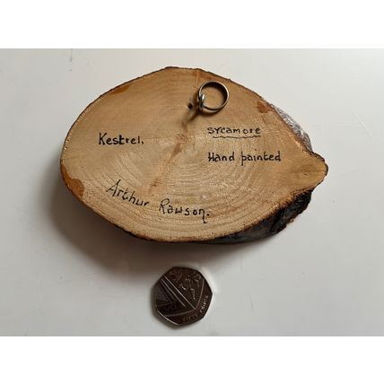 WOODEN SIGN - HAND PAINTED KESTREL