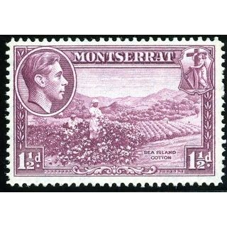 Montserrat KGVI 1942 1½d Purple Mounted Mint MM SG 103a Perf 14 stamp sea cotton