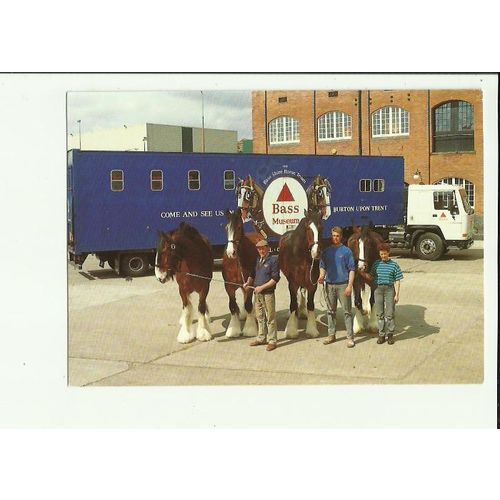 Staffordshire BURTON UPON TRENT Bass Museum Shire Horses Postcard