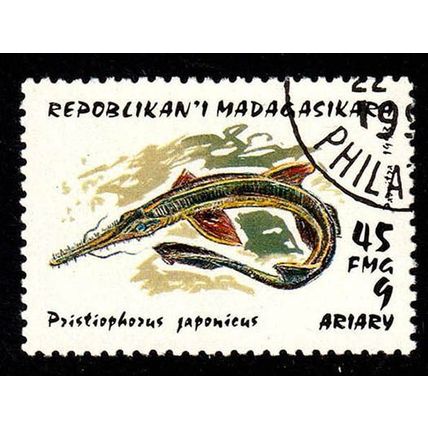 Madagascar 1993 Marine Life 45f Used Stamp Fish Shark