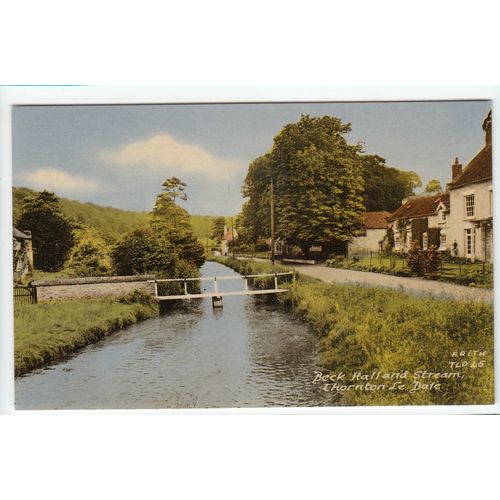 Beck Hall and Stream Thornton-Le-Dale North Yorkshire Postcard