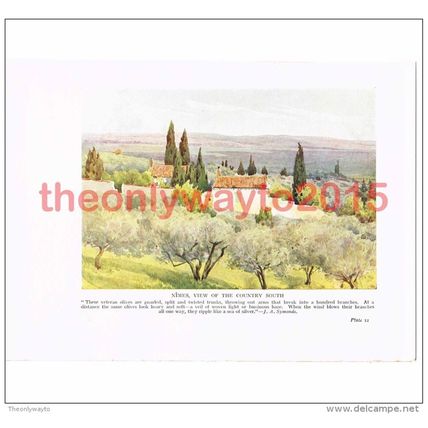 Nimes, Country South, France, Book Illustration (Print), c1920
