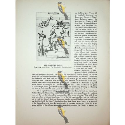 Garden Of Love, Roman De La Rose, Book Illustration (Print), 1942
