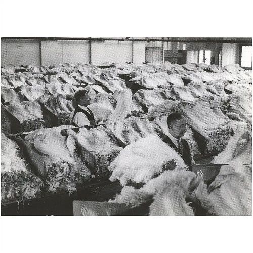 MD4: Cutler Street Warehouses, late 1920s.