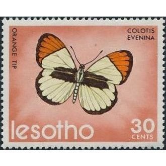 Lesotho 1973 Butterflies 30c Colons Evenina Unmounted Mint NHM SG 245 stamp