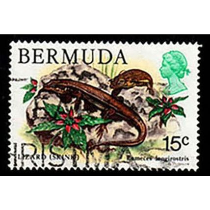 Bermuda 1978 Animal Lizard 15c Used Stamp . QE II