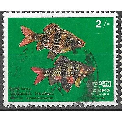 1972 SG 597 - fine used (o)