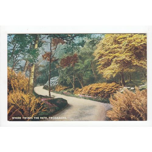 Where Twines the Path Trossachs Postcard J B White
