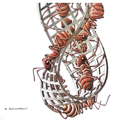 ESCHER print MOBIUS II ants Vintage 60S Orig Graphic Poster optic wall art Gift