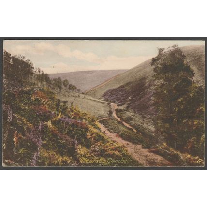 Alcombe Combe, Somerset, 1923 - Frith's Postcard