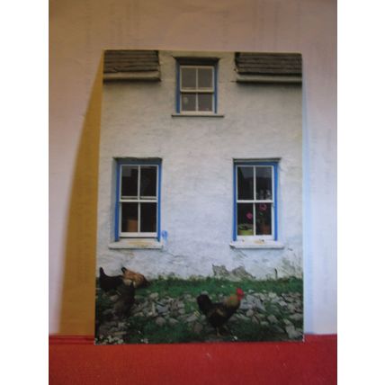 SMALL FARM-HOUSE, WEST CORK, IRELAND unused postcard =