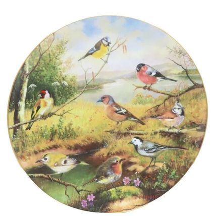 European Garden Birds German Decorative Plate By Karl-Hans Boese 1992 Home Decor
