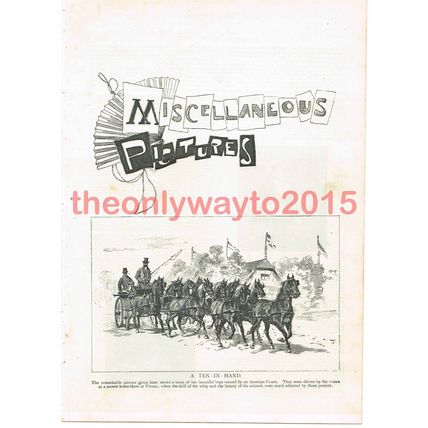 A Ten in Hand, Carriage, Vienna, Austria, Book Illustration (Print), 1895