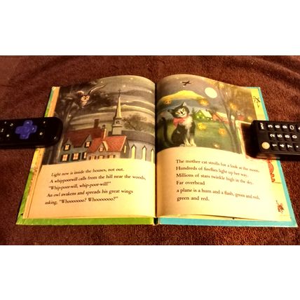 Wonder Book Series It's A Lovely Day By Marguerite Walters Reprinted 1977