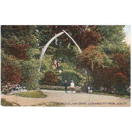 Dover, Kent - Whale's Jaw Bone, Connaught Park - Dennis postcard c.1910