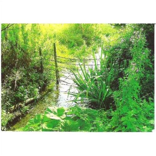 Hemel Hempstead, Hertfordshire - Bulbourne Stream nr Old Fishery - postcard