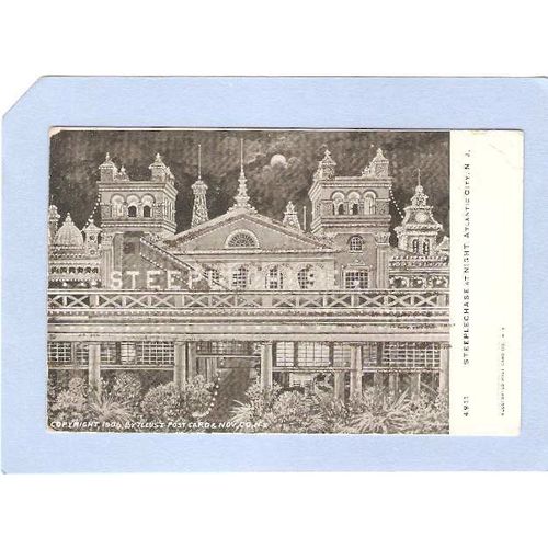 NJ Atlantic City Steeplechase At Night Outlined With Silver Sparkle nj_box~193